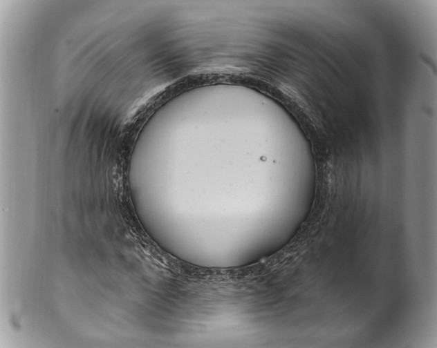 X0000099520872200806051208