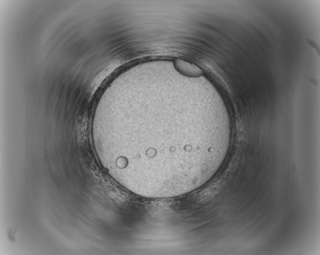 X0000099520875200806051208