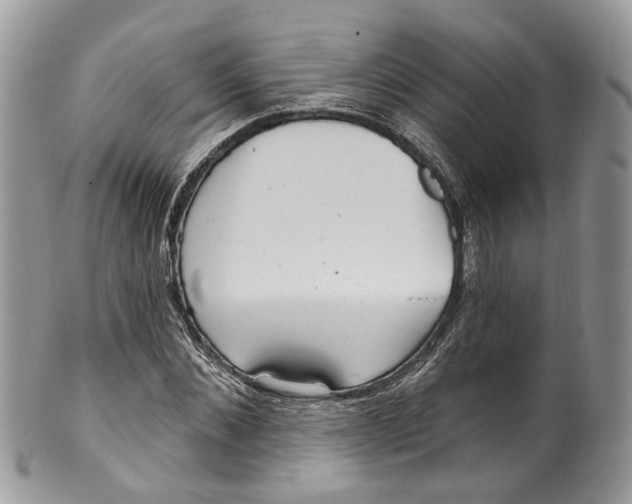 X0000099520876200806051208