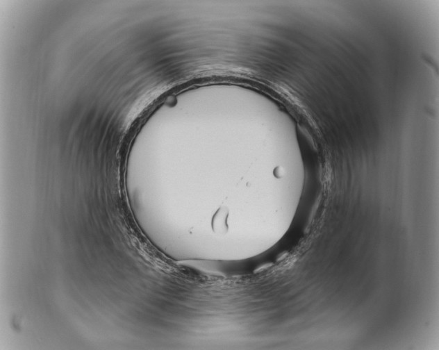 X0000099520877200806051208