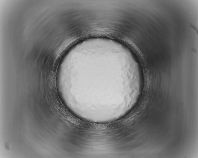 X0000099520878200806051208