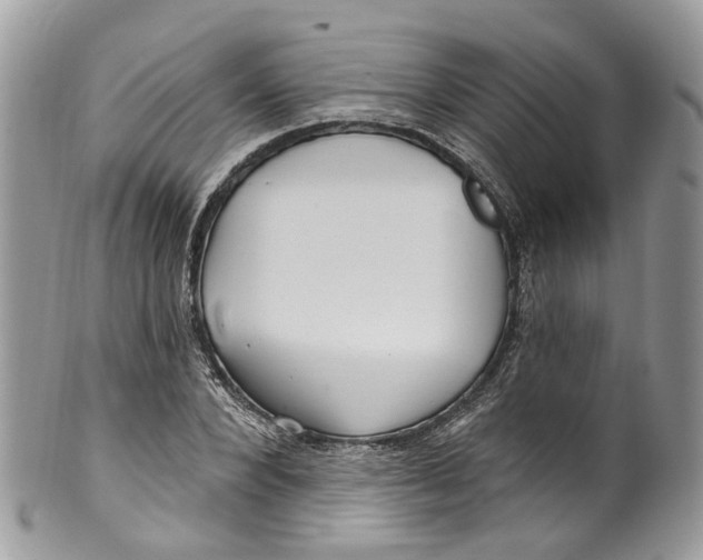 X0000099520880200806051208