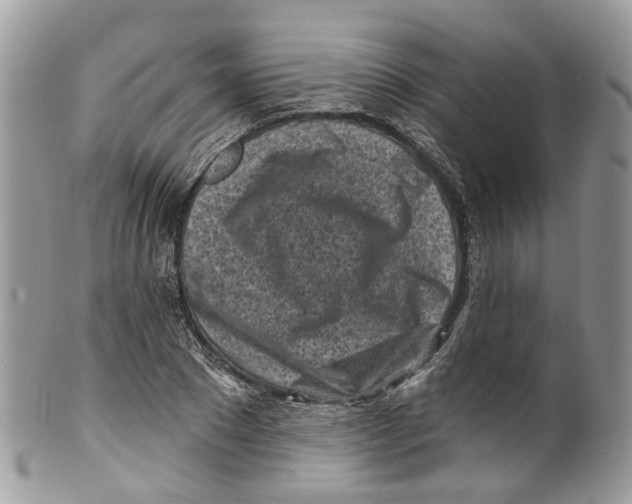 X0000099520881200806051208