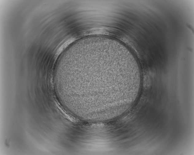 X0000099520882200806051208