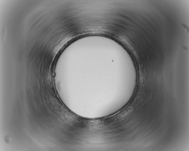 X0000099520883200806051208