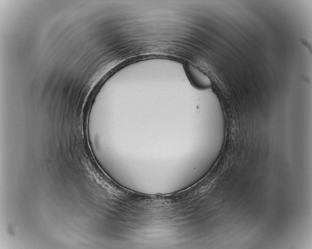 X0000099520884200806051208