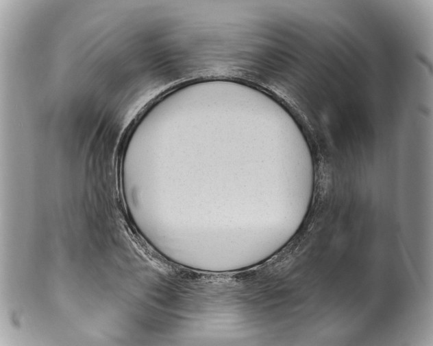 X0000099520886200806051208