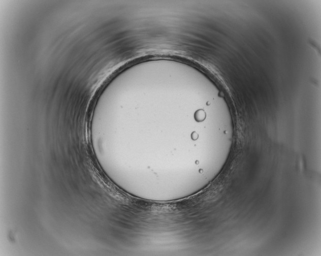 X0000099520887200806051208