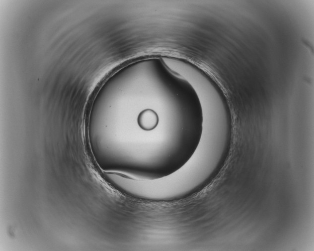 X0000099520888200806051208