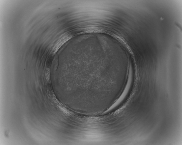 X0000099520889200806051208