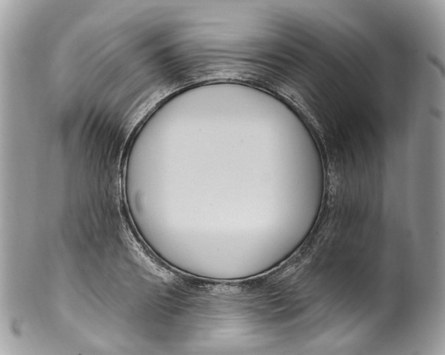 X0000099520890200806051208