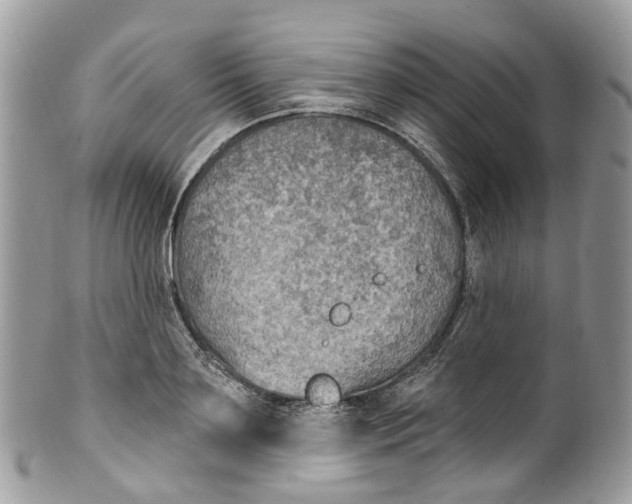 X0000099520891200806051208