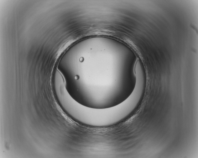 X0000099520893200806051208