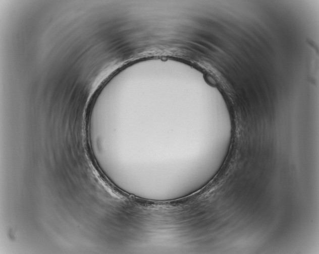 X0000099520894200806051208