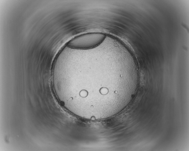 X0000099520895200806051208