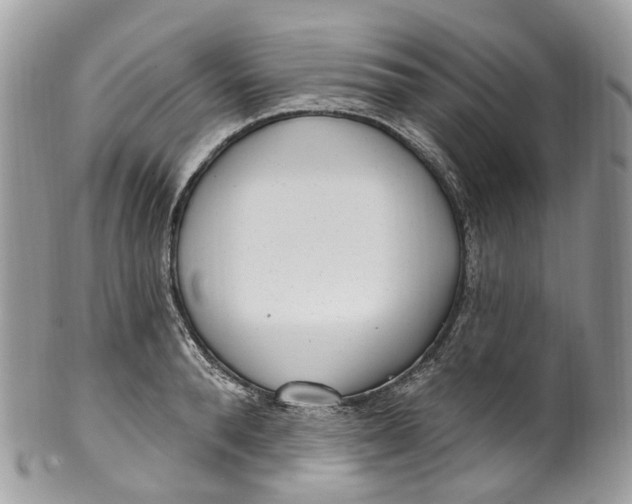 X0000099520896200806051208