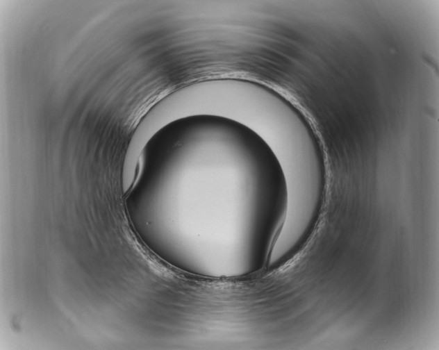 X0000099520897200806051208