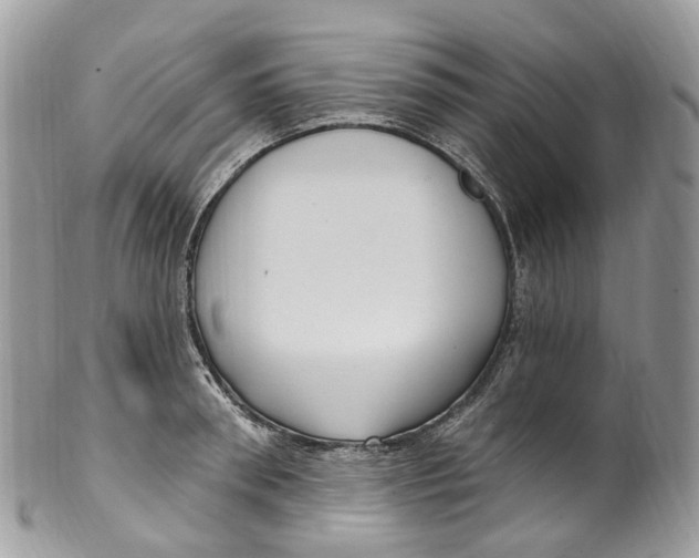 X0000099520898200806051208