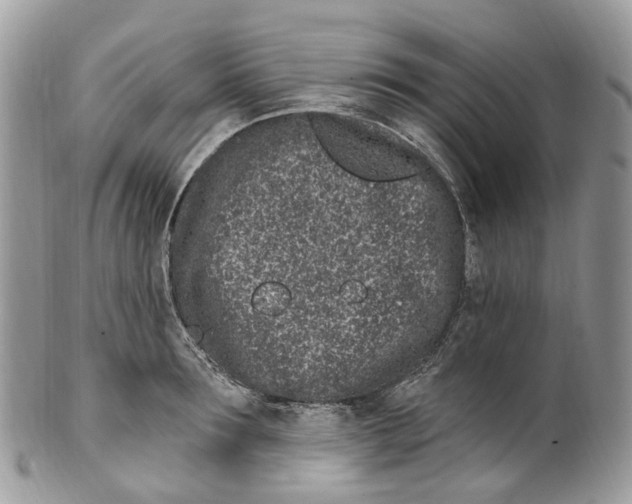 X0000099520899200806051208