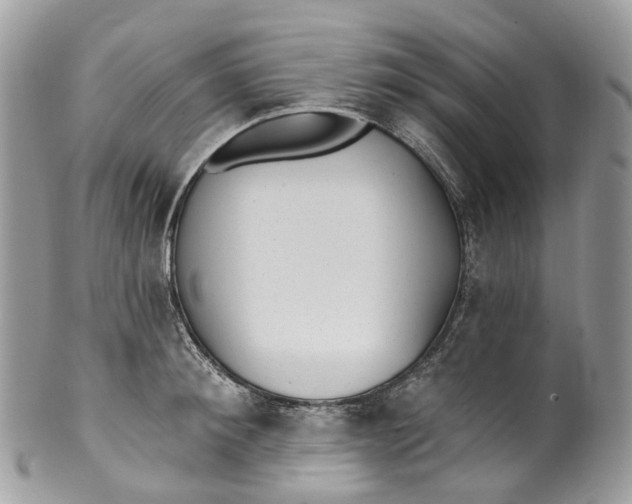 X0000099520900200806051208