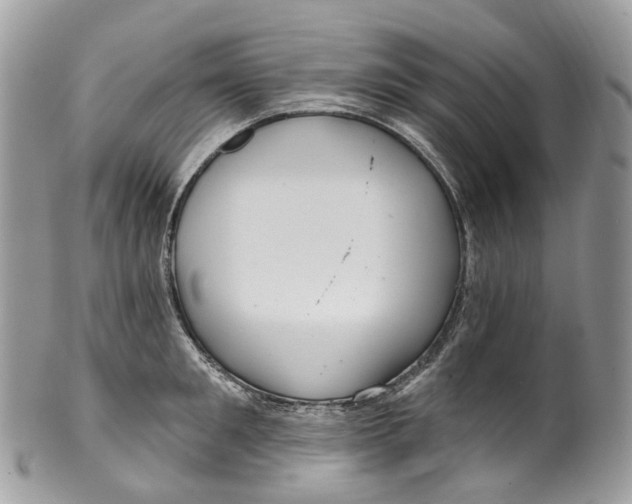 X0000099520901200806051208