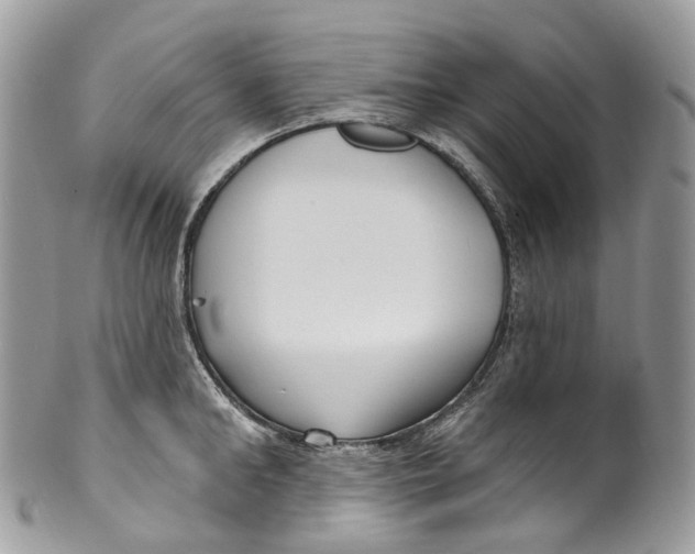 X0000099520902200806051208