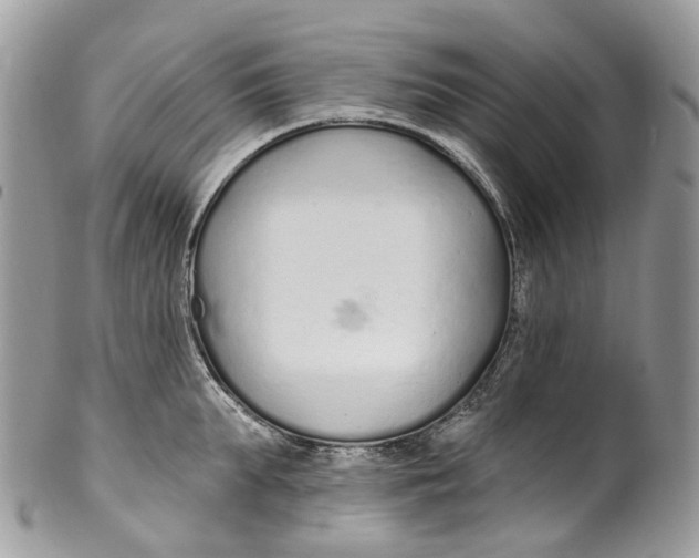 X0000099520903200806051208