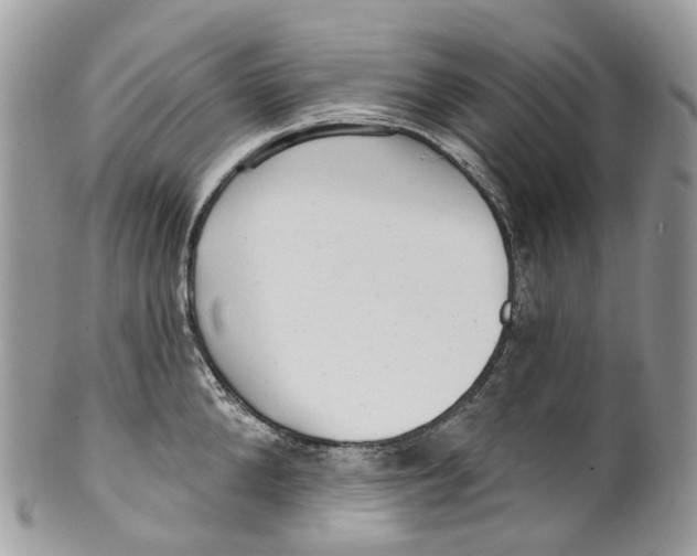 X0000099520904200806051208