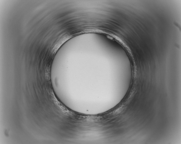 X0000099520905200806051208