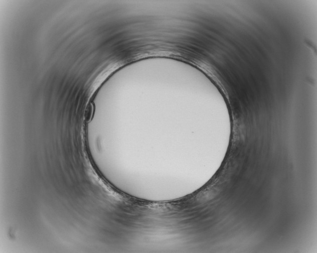 X0000099520906200806051208