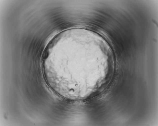 X0000099520907200806051208