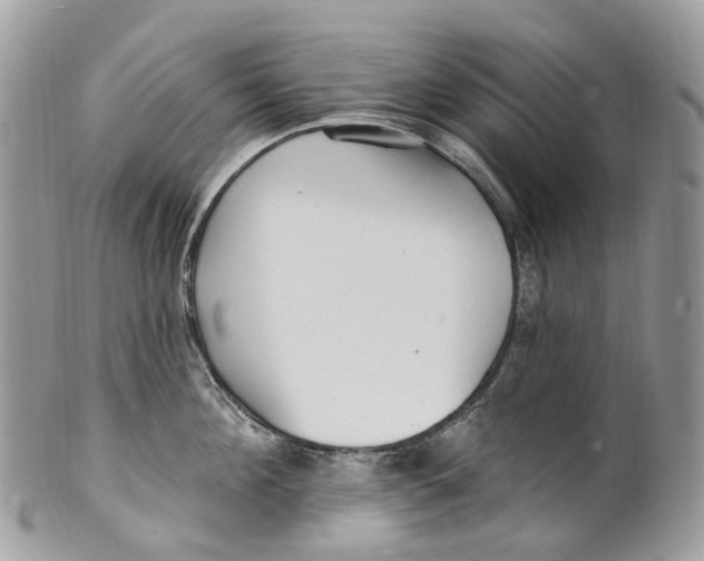 X0000099520908200806051208