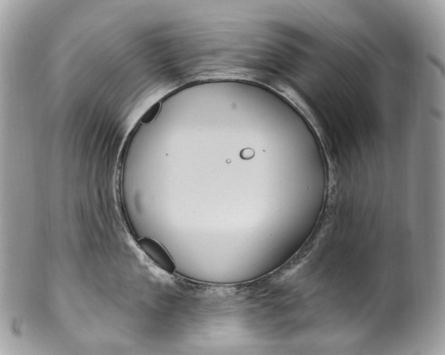 X0000099520909200806051208