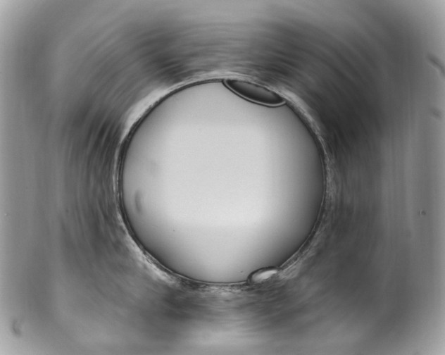 X0000099520910200806051208