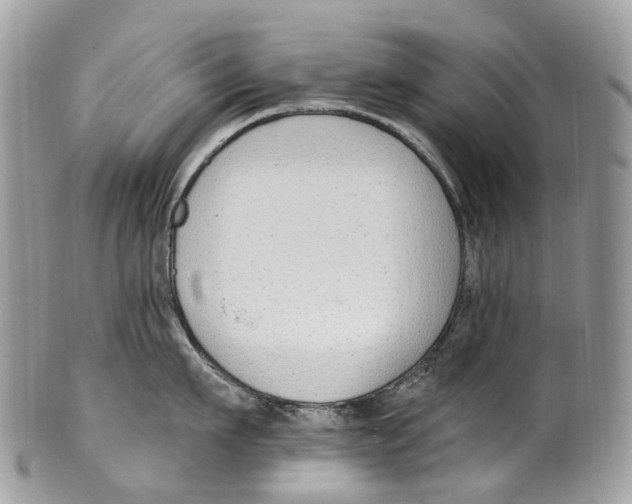 X0000099520911200806051208