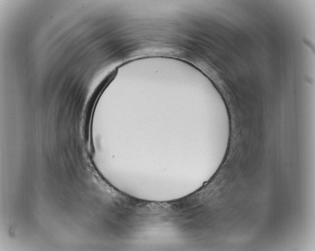 X0000099520912200806051208