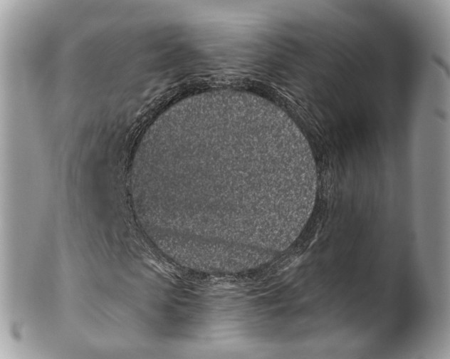 X0000099520913200806051207