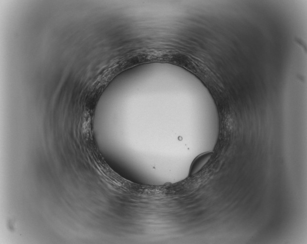 X0000099520914200806051207