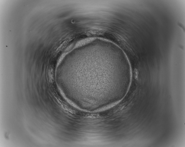 X0000099520915200806051207