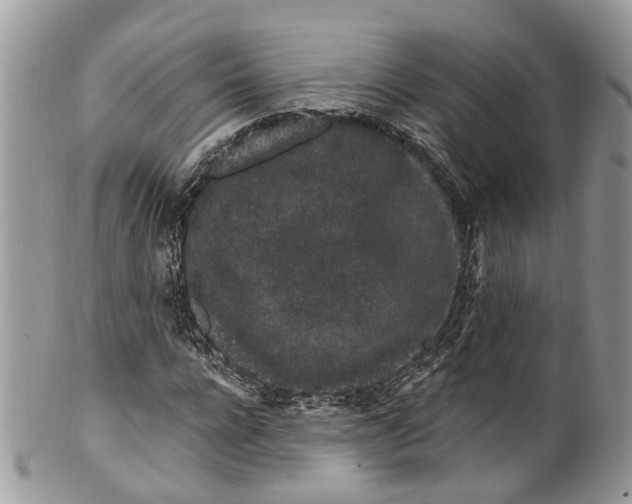 X0000099520920200806051207