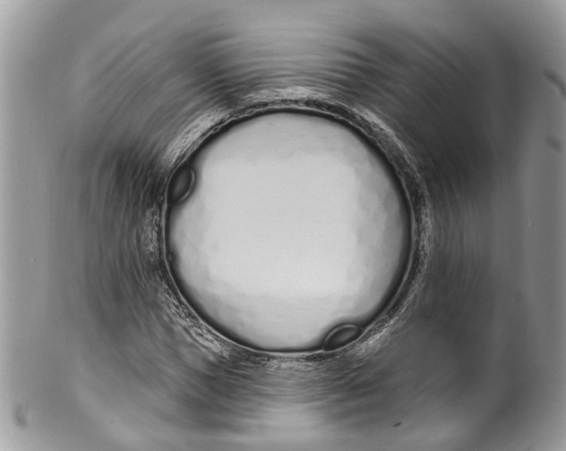 X0000099520921200806051207