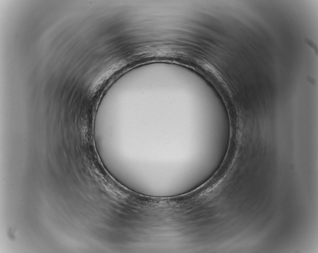 X0000099520922200806051207