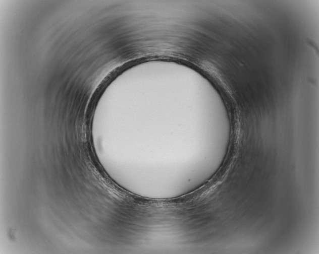 X0000099520924200806051207