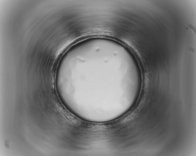 X0000099520925200806051207