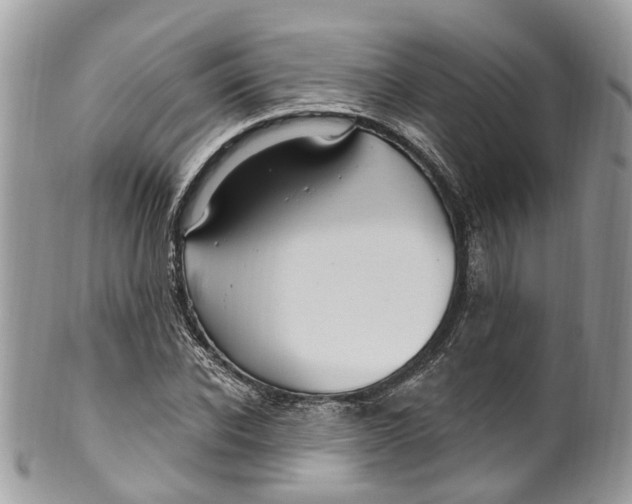 X0000099520926200806051207