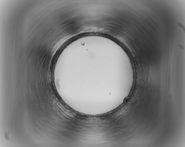 X0000099520927200806051207