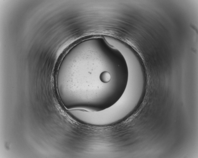 X0000099520928200806051207