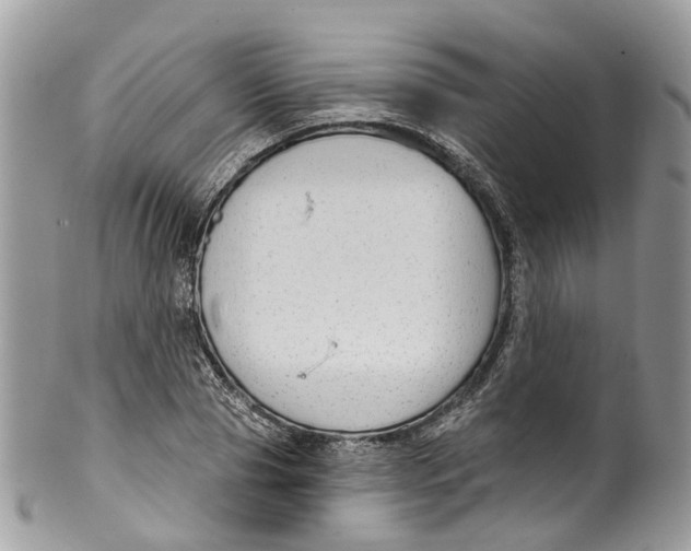 X0000099520929200806051207