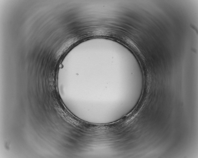 X0000099520930200806051207