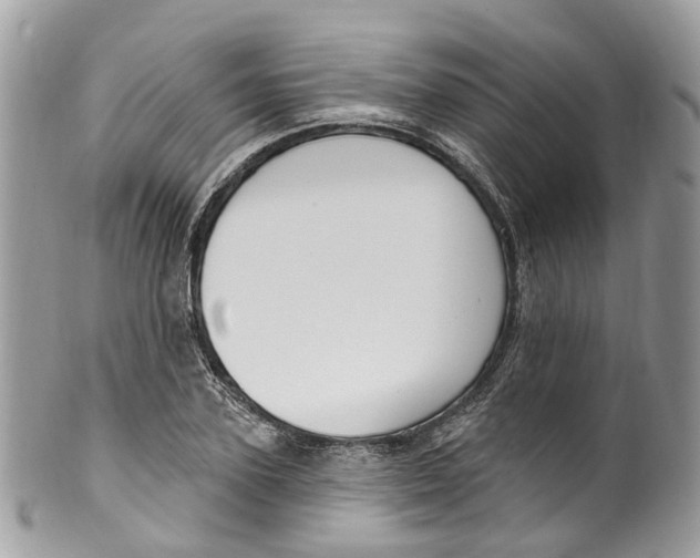 X0000099520931200806051207